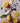 Chocolate Negro com Laranja Natural · 25g